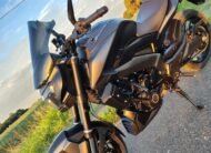 BAJAJ DOMINAR 400