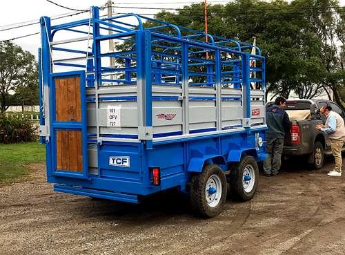 Acoplado Multiproposito desmontable 3500