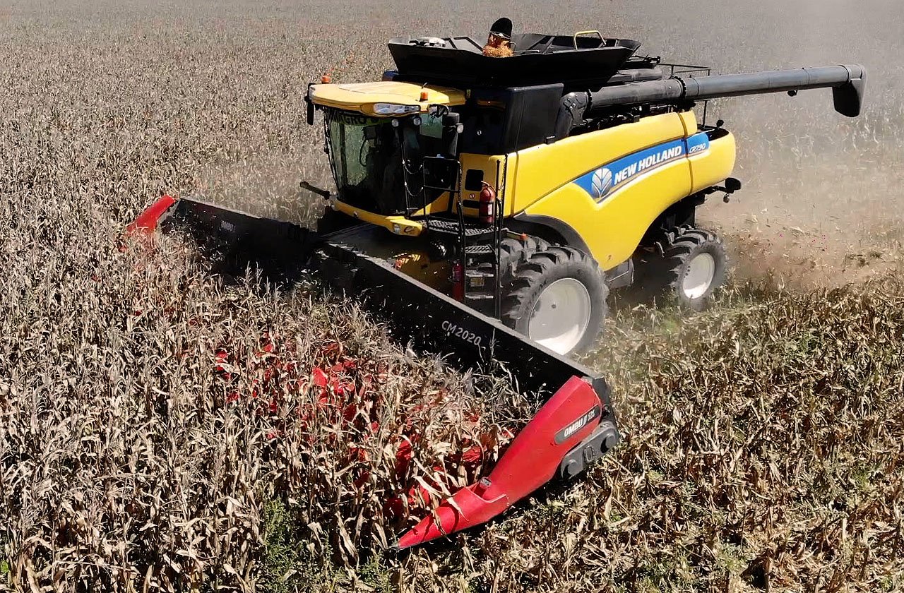 Cabezal maicero CM-2020